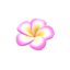Plumeria Hairpin (Pink) NH Icon.png
