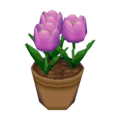 Purple Tulips CF Model.png