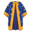 wizard's robe
