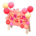 Birthday sign's Pink variant
