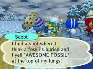 CF Scoot Fossil.jpg