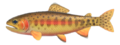 Golden Trout NH.png