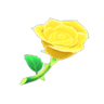 yellow roses
