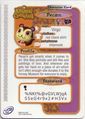 Animal Crossing-e 4-260 (Pecan - Back).jpg