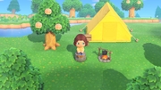 Nintendo Music ACNH Island Life Orientation 5 - Clear.jpg