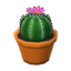 Round Cactus NL Model.png