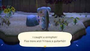 Caught Stringfish NH 2.jpg