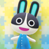 Dotty's Photo NH Texture.png