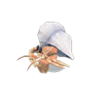 hermit crab model