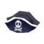 pirate's hat
