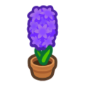 Purple-Hyacinth Plant NH Inv Icon.png