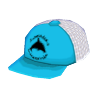 Light blue cap