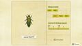 NH Critterpedia Jewel Beetle Southern Hemisphere.jpg