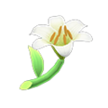 White Lilies NH Icon.png
