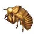 Cicada Shell NL Model.png