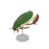 diving beetle model