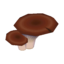 flat mushroom