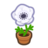 White-Windflower Plant NH Inv Icon.png