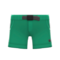 Outdoor Shorts (Green) NH Icon.png
