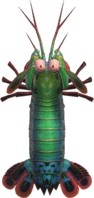 Artwork of Mantis Shrimp