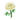 White Marigold PC Icon.png