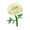 White Marigold PC Icon.png