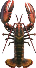 Artwork of lobster