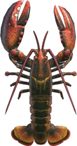 In-game image of lobster
