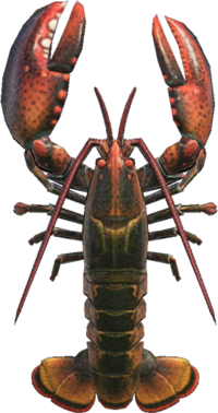 Lobster NH.png