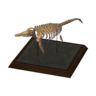 ichthyo model