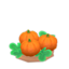 ripe orange-pumpkin plant