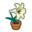 White-Lily Plant NH Inv Icon.png
