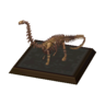 apato model