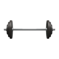 Barbell NH DIY Icon.png