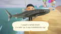 Caught Whale Shark NH 2.png