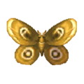 Moth NL Model.png