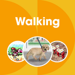 Nintendo Music Playlist Cover Walking.png