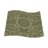 lunar surface