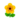 Yellow Zinnias PC Icon.png
