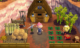 Example of Benjamin's Happy Home Designer house