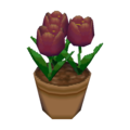 Black Tulips CF Model.png