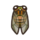 Evening Cicada NH Icon.png
