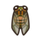 Evening Cicada NH Icon.png
