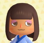 Hairstyle - Animal Crossing Wiki - Nookipedia