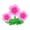 Pink Petunias PC Icon.png