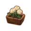 Potted White Marigolds PC Icon.png