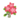 Red Plumeria PC Icon.png