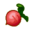 Red Turnip CF Icon 4.png