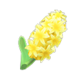 Yellow Hyacinths NH Icon.png