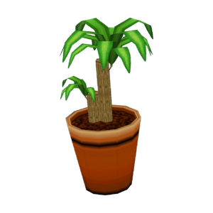 Dracaena CF Model.png